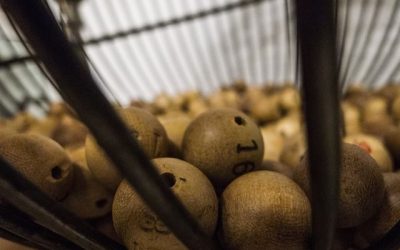 El muestreo y la representatividad de tus datos